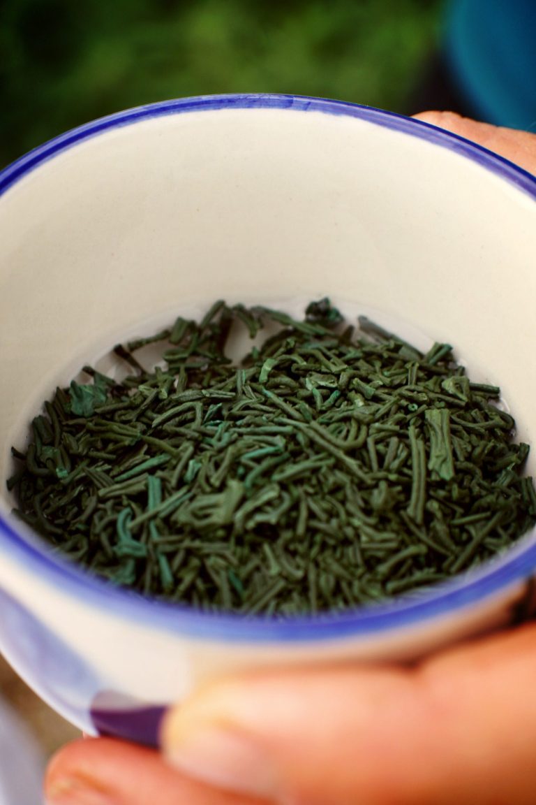 spiruline