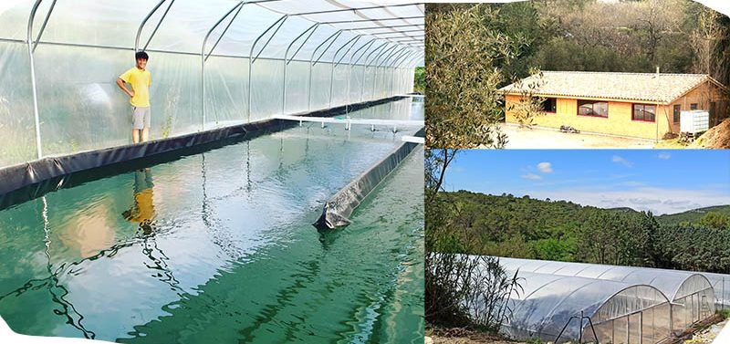 Producteur de spiruline Francaise Producteur de spiruline Francaise